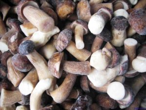 Замороженные белые грибы оптом